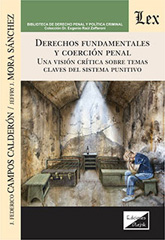 E-book, Derechos fundamentales y coerción penal, Ediciones Olejnik