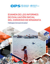 E-book, Examen de los informes de evaluación inicial del Convenio de Minamata : Hallazgos clave para la salud, Pan American Health Organization