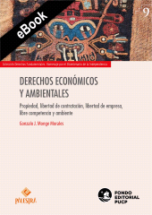 E-book, Derechos económicos y ambientales, Palestra Editores