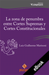 E-book, La zona de penumbra entre Cortes Supremas y Cortes Constitucionales, Palestra Editores