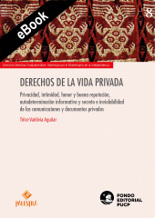 E-book, Derechos de la vida privada : Privacidad, intimidad, honor y buena reputación, autodeterminación informativa y secreto e inviolabilidad de las comunicaciones y documentos privados, Palestra Editores