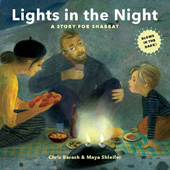 eBook, Lights in the Night, Barash, Chris, Pen and Sword