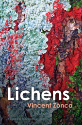 E-book, Lichens : Toward a Minimal Resistance, Polity Press