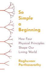E-book, So Simple a Beginning : How Four Physical Principles Shape Our Living World, Princeton University Press