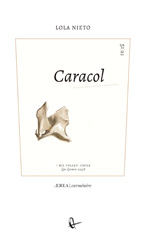 E-book, Caracol, Ril Editores