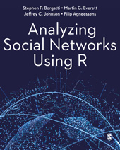 E-book, Analyzing Social Networks Using R, Borgatti, Stephen P., SAGE Publications Ltd