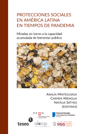 E-book, Protecciones sociales en América Latina en tiempos de pandemia : Miradas en torno a la capacidad acumulada de bienestar público, Editorial Teseo