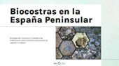 eBook, Biocostras en la España Peninsular, Rodríguez Caballero, Emilio, Universidad de Almería