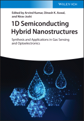 E-book, 1D Semiconducting Hybrid Nanostructures : Synthesis and Applications in Gas Sensing and Optoelectronics, Wiley-VCH