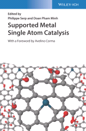 E-book, Supported Metal Single Atom Catalysis, Wiley-VCH