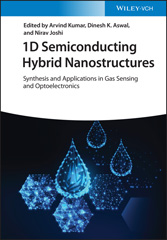 E-book, 1D Semiconducting Hybrid Nanostructures : Synthesis and Applications in Gas Sensing and Optoelectronics, Wiley