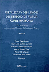 E-book, Fortalezas y debilidades del derecho de familia contemporáneo : liber amicorum en homenaje al Profesor Carlos Lasarte Álvarez, Dykinson