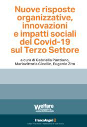 eBook, Nuove risposte organizzative, innovazioni e impatti sociali del Covid-19 sul Terzo Settore, Franco Angeli