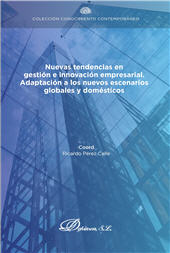 E-book, Nuevas tendencias en gestión e innovación empresarial : adaptación a los nuevos escenarios globales y domésticos, Dykinson