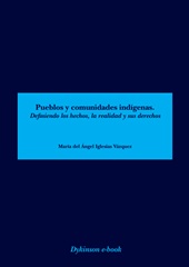 E-book, Pueblos y comunidades indígenas : definiendo los hechos, la realidad y sus derechos, Dykinson