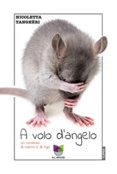 E-book, A volo d'angelo : un romanzo di marmi e di topi, All Around