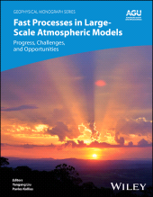 E-book, Fast Processes in Large-Scale Atmospheric Models : Progress, Challenges, and Opportunities, American Geophysical Union