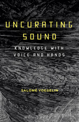 eBook, Uncurating Sound, Voegelin, Salomé, Bloomsbury Publishing