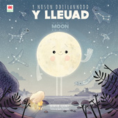 E-book, Y Noson Ddiflannodd y Lleuad / The Night the Moon Went Missing, Casemate Group