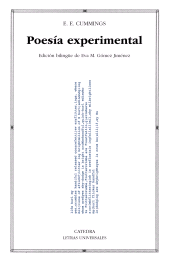 eBook, Poesía experimental, Ediciones Cátedra