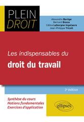 eBook, Les indispensables du droit du travail, Édition Marketing Ellipses