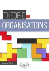 E-book, Théorie des organisations, Édition Marketing Ellipses