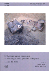 E-book, SP87 : una nuova strada per l'archeologia della pianura bolognese, All'insegna del giglio