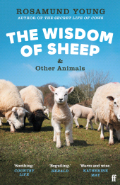 E-book, The Wisdom of Sheep & Other Animals : Observations from a Family Farm, Faber & Faber