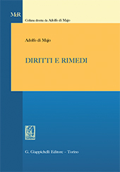 eBook, Diritti e rimedi, Giappichelli editore