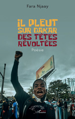 E-book, Il pleut sur Dakar des têtes révoltées, L'Harmattan