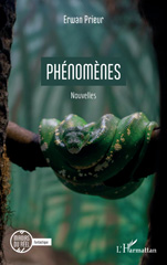 E-book, Phénomènes, Prieur, Erwan, L'Harmattan