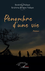 E-book, Pénombre d'une vie, L'Harmattan