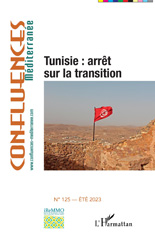 E-book, Tunisie : arrêt sur la transition /., L'Harmattan