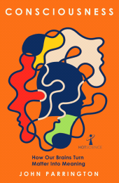E-book, Consciousness : How Our Brains Turn Matter into Meaning, Icon Books