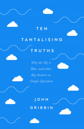 E-book, Ten Tantalising Truths : Why the Sky is Blue, and other Big Answers to Simple Questions, Icon Books