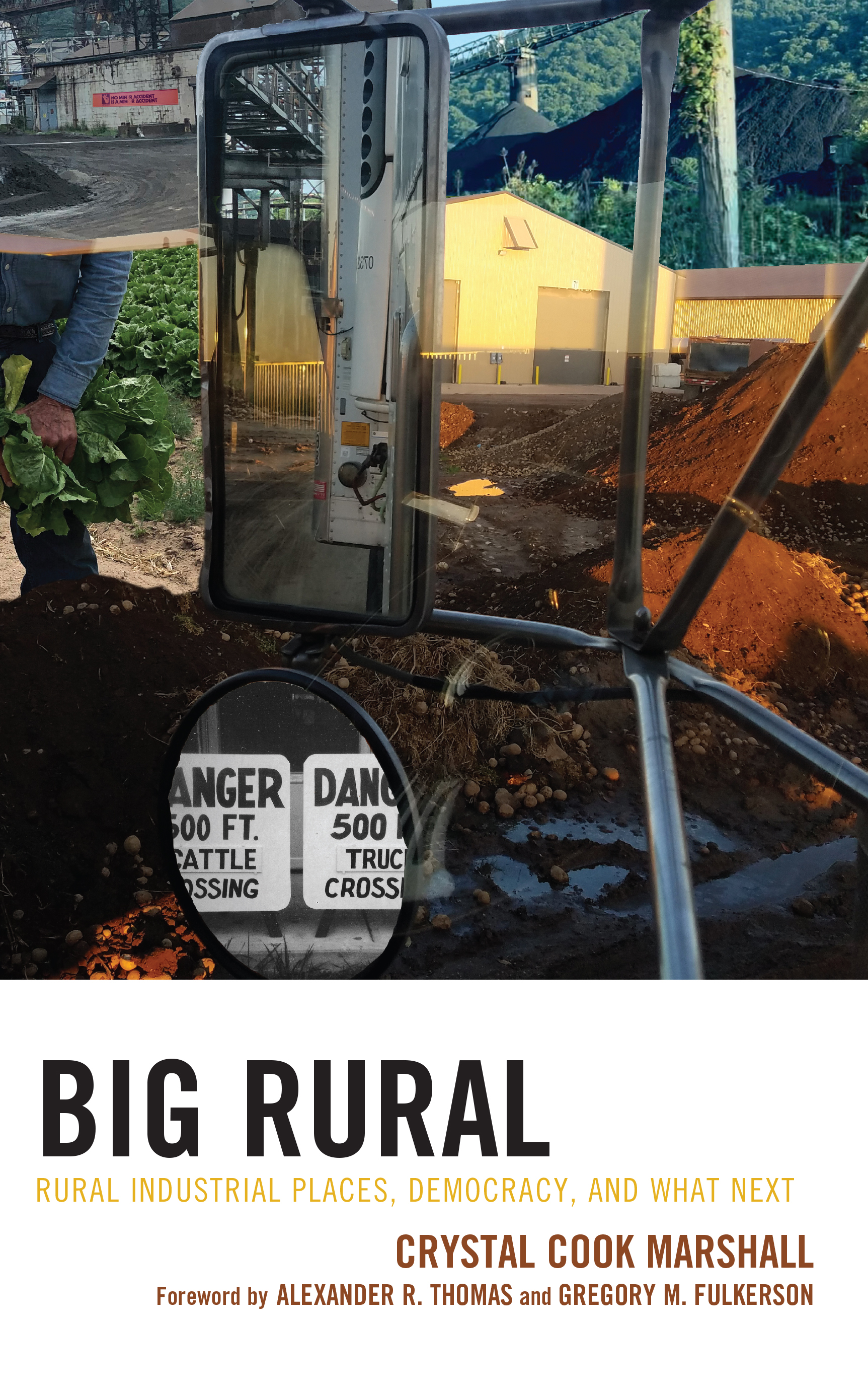 eBook, Big Rural : Rural Industrial Places, Democracy, and What Next, Lexington Books