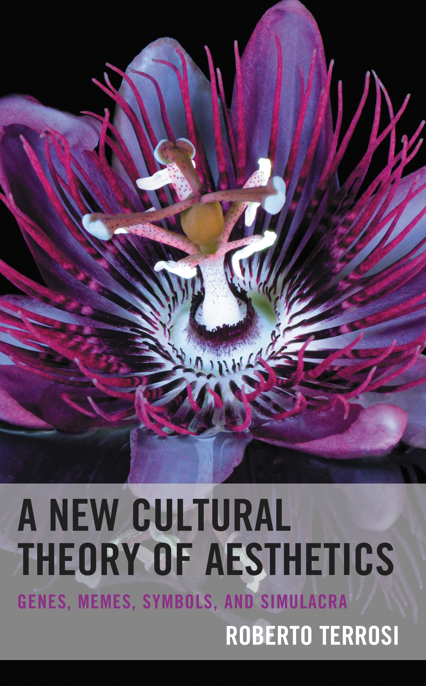 E-book, A New Cultural Theory of Aesthetics : Genes, Memes, Symbols, and Simulacra, Lexington Books