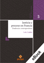 E-book, Justicia y proceso en Francia : Tendencias contemporáneas, Palestra Editores