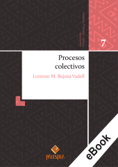 E-book, Procesos colectivos, Palestra Editores