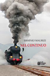 E-book, Nel continuo, Maurizi, Erminio, Pellegrini