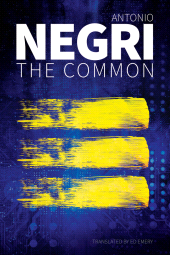 E-book, The Common, Polity Press