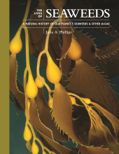 E-book, The Lives of Seaweeds : A Natural History of Our Planet's Seaweeds and Other Algae, Princeton University Press