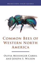 E-book, Common Bees of Western North America, Princeton University Press