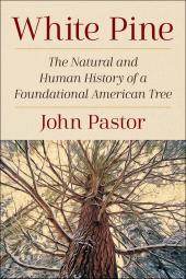 E-book, White Pine : The Natural and Human History of a Foundational American Tree, Princeton University Press
