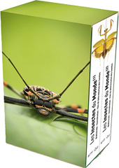 E-book, Les insectes du monde : Biodiversité, classification, clés de détermination des familles, Éditions Quae