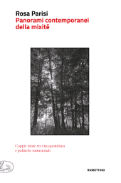 E-book, Panorami contemporanei della mixité : coppie miste tra vita quotidiana e politiche istituzionali, Rubbettino