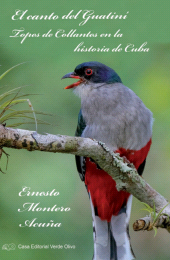 eBook, El canto del Guatiní. Topes de Collantes en la historia de Cuba, RUTH Casa Editorial