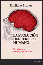 E-book, La evolución del cerebro humano : Un viaje entre fósiles y primates, Shackleton Books