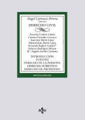 E-book, Derecho Civil : Introducción. Fuentes. Derecho de la persona. Derecho subjetivo. Derecho de propiedad, Tecnos