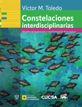 E-book, Constelaciones interdisciplinarias : Décadas de exploración y transformación de la ciencia, Editorial Universidad de Guadalajara